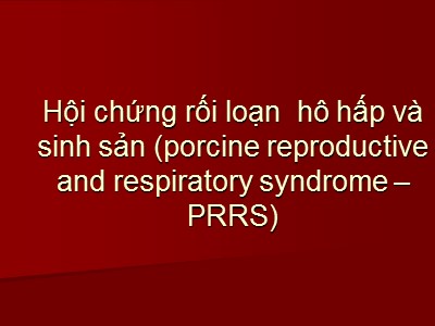 Hội chứng rối loạn hô hấp và sinh sản (porcine reproductive and respiratory syndrome-PRRS)
