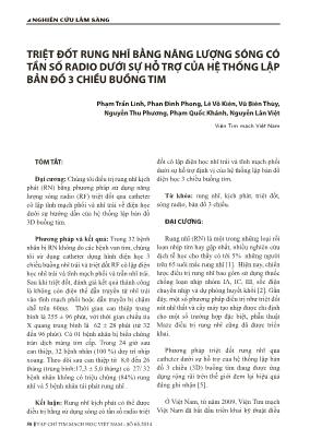 Triệt đốt rung nhĩ bằng năng lượng sóng có tần số radio dưới sự hỗ trợ của hệ thống lập bản đồ 3 chiều buồng tim