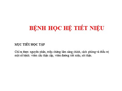 Bài giảng Bệnh học hệ tiết niệu