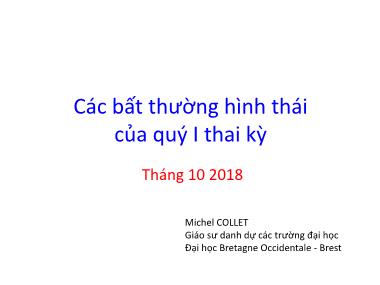 Bài giảng Các bất thường hình thái của quý I thai kỳ