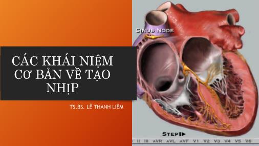 Bài giảng Các khái niệm cơ bản về tạo nhịp - Lê Thanh Liêm