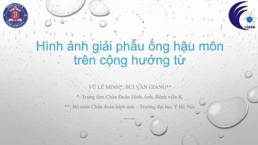 Bài giảng Hình ảnh giải phẫu ống hậu môn trên cộng hưởng từ