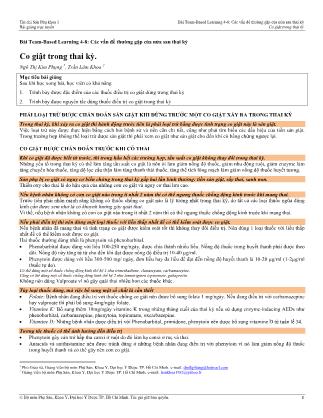 Bài giảng Sản phụ khoa 1 - Bài Team-Based Learning 4-8: Các vấn đề thường gặp của nửa sau thai kỳ - Bài: Co giật trong thai kỳ