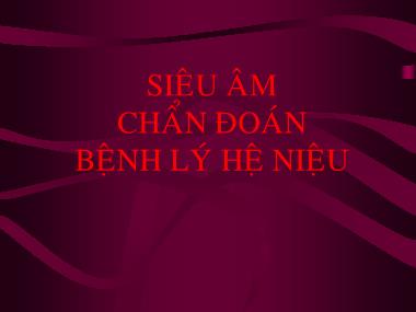 Bài giảng Siêu âm chẩn đoán bệnh lý hệ niệu