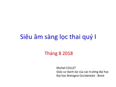 Bài giảng Siêu âm sàng lọc thai quý I