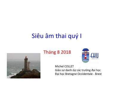 Bài giảng Siêu âm thai quý I Bài giảng Siêu âm thai quý I