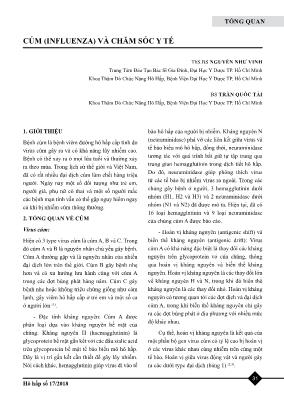 Cúm (influenza) và chăm sóc y tế