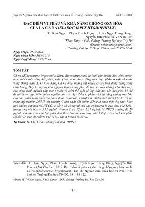 Đặc điểm vi phẫu và khả năng chống oxy hóa của lá cà na (elaeocarpus hygrophilus)