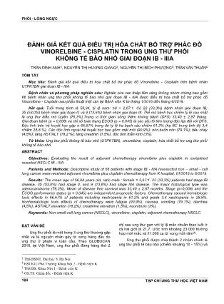 Đánh giá kết quả điều trị hóa chất bổ trợ phác đồ Vinorelbine - Cisplatin trong ung thư phổi không tế bào nhỏ giai đoạn IB - IIIA