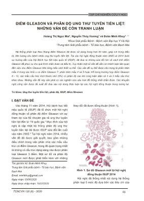 Điểm gleason và phân độ ung thư tuyến tiền liệt: những vấn đề còn tranh luận