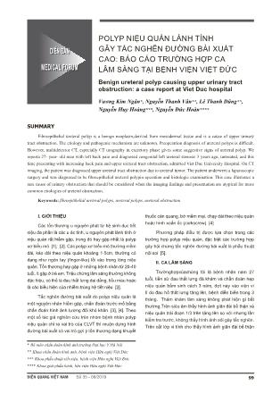 Diễn đàn: Polyp niệu quản lành tính gây tắc nghẽn đường bài xuất cao: Báo cáo trường hợp ca lâm sàng tại Bệnh viện Việt Đức