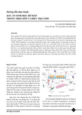 Hướng dẫn thực hành: Dấu ấn sinh học hô hấp trong theo dõi và điều trị COPD