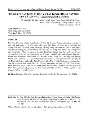 Khảo sát đặc điểm vi học và tác dụng chống oxy hóa của lá dây vác (Cayratia trifolia (L.) Domino)