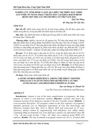Nghiên cứu tình hình và kết quả điều trị thiếu máu thiếu sắt ở phụ nữ mang thai 3 tháng đầu tại khoa khám bệnh bệnh viện phụ sản thành phố Cần Thơ năm 2018
