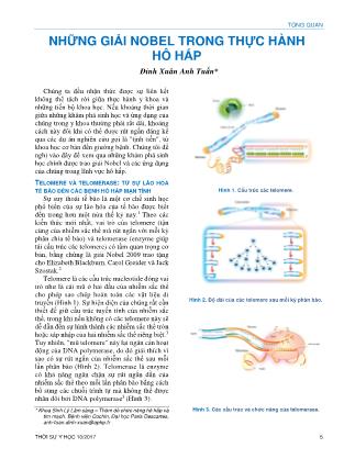 Những giải nobel trong thực hành hô hấp Những giải nobel trong thực hành hô hấp