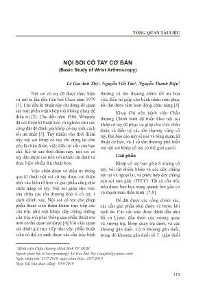Nội soi cổ tay cơ bản (Basic Study of Wrist Arthroscopy)