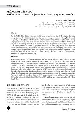 Phòng đợt cấp COPD: những bằng chứng cập nhật từ điều trị bằng thuốc