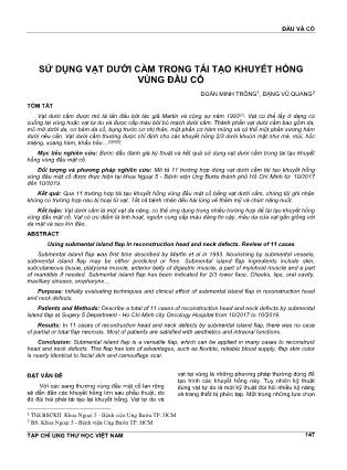 Sử dụng vạt dưới cằm trong tái tạo khuyết hổng vùng đầu cổ