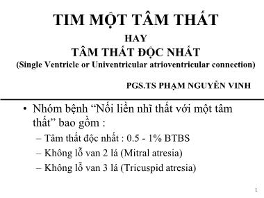 Tim một tâm thất hay tâm thất độc nhất