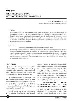 Tổng quan Viêm phổi cộng đồng - Một số vấn đề cần thống nhất