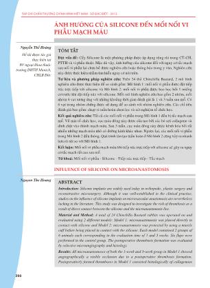 Ảnh hưởng của silicone đến mối nối vi phẫu mạch máu