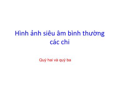 Bài giảng Hình ảnh siêu âm bình thường các chi