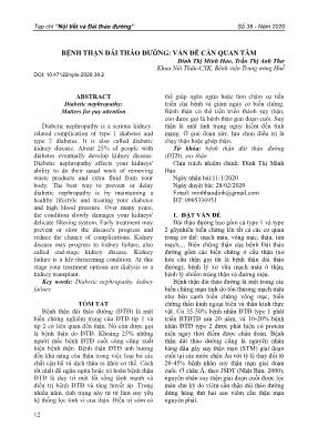 Bệnh thận đái tháo đường: Vấn đề cần quan tâm