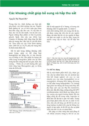 Các khoáng chất giúp bổ sung và hấp thu sắt