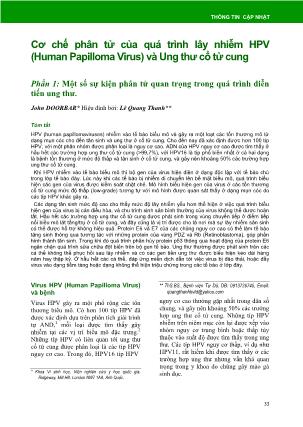 Cơ chế phân tử của quá trình lây nhiễm HPV (Human Papilloma Virus) và Ung thư cổ tử cung