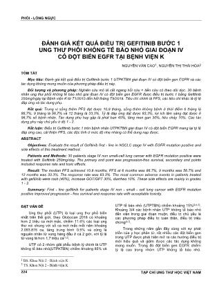 Đánh giá kết quả điều trị Gefitinib bước 1 ung thư phổi không tế bào nhỏ giai đoạn IV có đột biến EGFR tại bệnh viện K