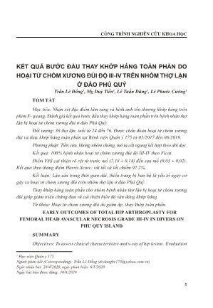 Kết quả bước đầu thay khớp háng toàn phần do hoại tử chỏm xương đùi độ III-IV trên nhóm thợ lặn ở đảo Phú Quý