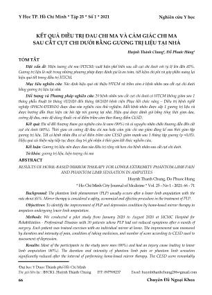 Kết quả điều trị đau chi ma và cảm giác chi ma sau cắt cụt chi dưới bằng gương trị liệu tại nhà