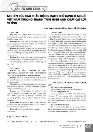 Nghiên cứu giải phẫu động mạch chủ bụng ở người Việt Nam trưởng thành trên hình ảnh chụp cắt lớp vi tính