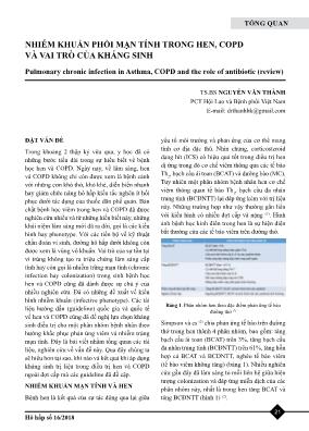 Nhiễm khuẩn phổi mạn tính trong hen, COPD và vai trò của kháng sinh