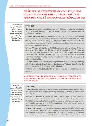 Phẫu thuật chuyển thần kinh phục hồi giạng vai và gấp khuỷu trong điều trị nhổ, đứt các rễ trên của đám rối cánh tay