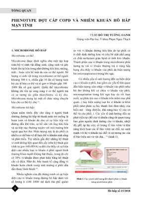Phenotype đợt cấp COPD và nhiễm khuẩn hô hấp mạn tính