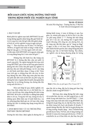 Rối loạn chức năng đường thở nhỏ trong bệnh phổi tắc nghẽn mạn tính