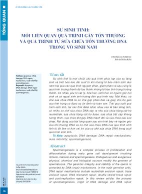 Sự sinh tinh: mối liên quan quá trình gây tổn thương và quá trình tự sửa chữa tổn thương DNA trong vô sinh nam