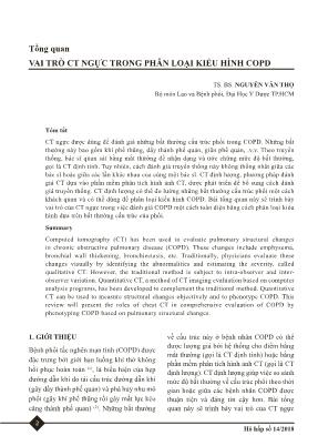Tổng quan: Vai trò  CT ngực trong phân loại kiểu hình COPD