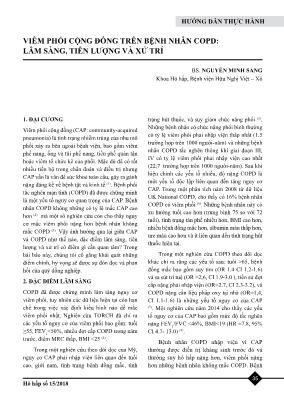 Viêm phổi cộng đồng trên bệnh nhân COPD: lâm sàng, tiên lượng và xử trí